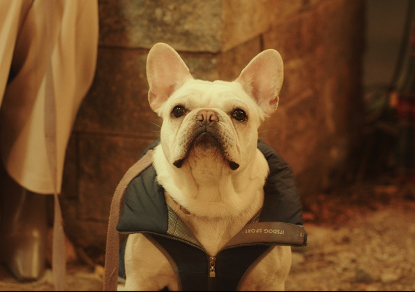 『DOG DAYS 君と いつまでも』©2024 CJ ENM Co., Ltd. ALL RIGHTS RESERVED