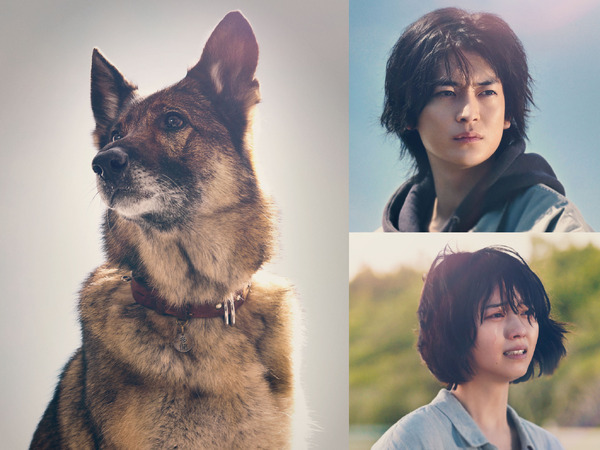 『少年と犬』©2025映画「少年と犬」製作委員会