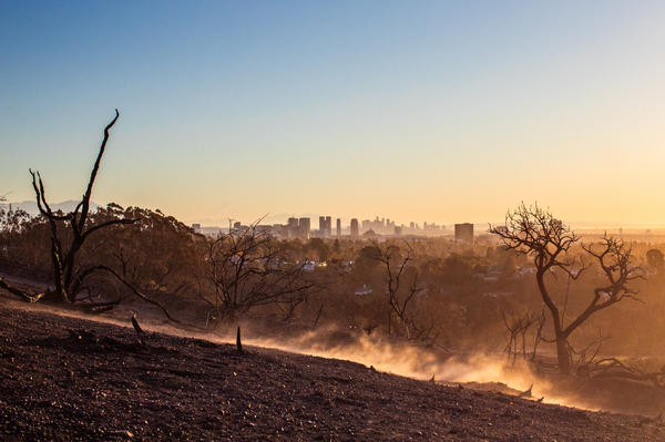 ロサンゼルスカリフォルニア州 2025年1月15日 Photo by Apu Gomes/Getty Images