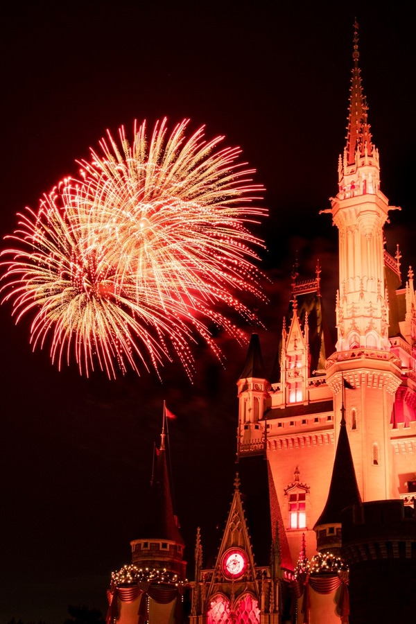 パレード・花火にキャッスルプロジェクション！東京ディズニーランドで3種のナイトエンターテインメントを満喫