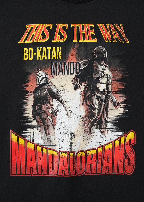 「スター・ウォーズ：マンダロリアン」コレクションアイテム(C) & TM Lucasfilm Ltd.