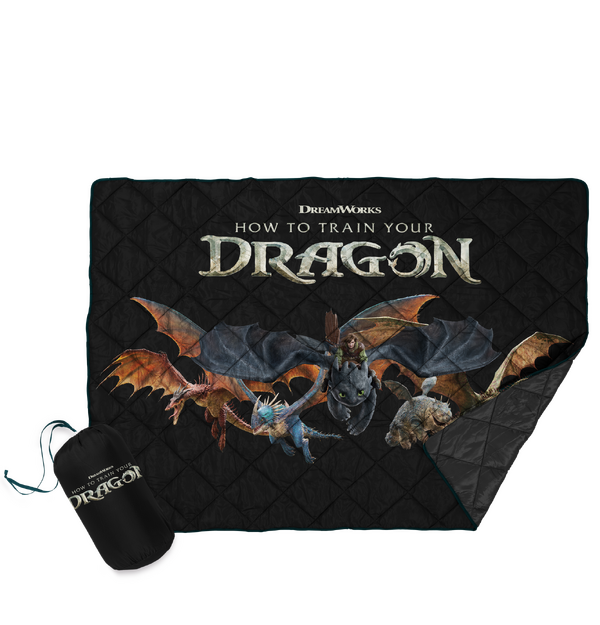 『ヒックとドラゴン』©2025 UNIVERSAL PICTURES. ALL RIGHTS RESERVED.