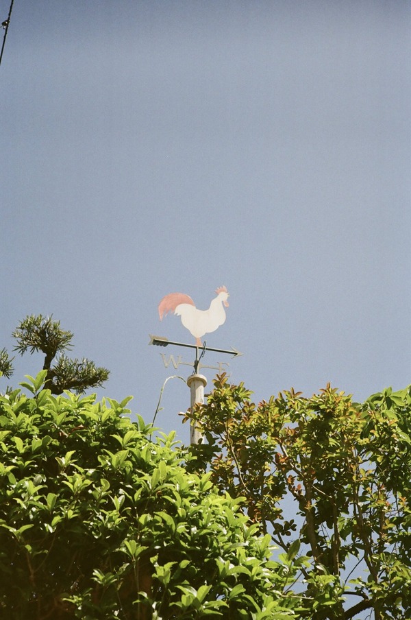 『花まんま』©2025「花まんま」製作委員会