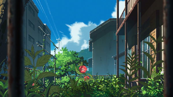 『ホウセンカ』(c)此元和津也／ホウセンカ製作委員会