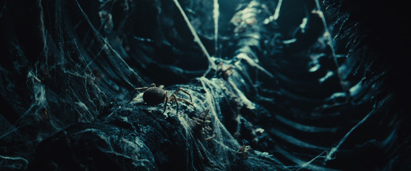 『ヴァーリャの冒険』