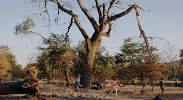 『灼熱の陽の下で』（Burning Sun）