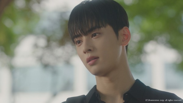 チャウヌ「私のIDはカンナム美人」