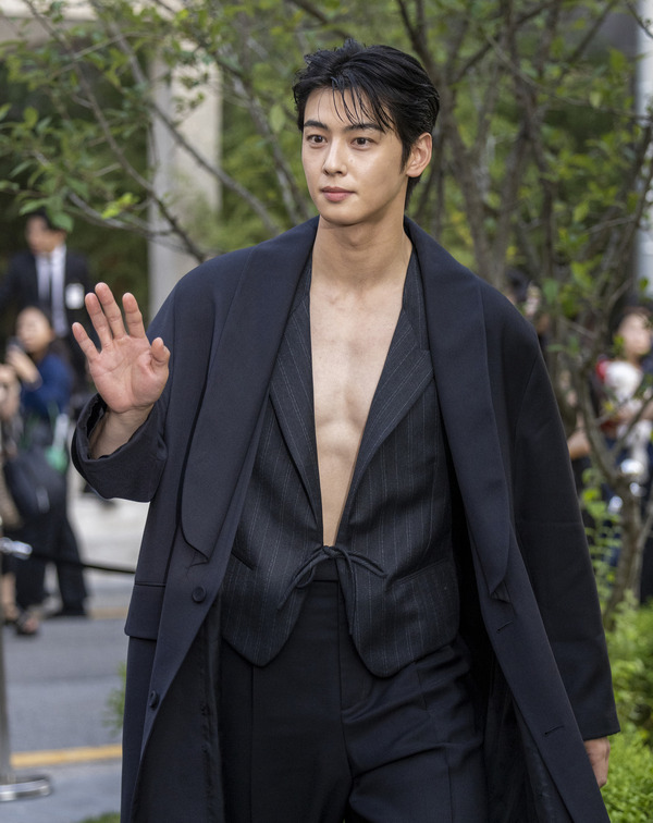 チャウヌ Photo by The Chosunilbo JNS/Imazins via Getty Images