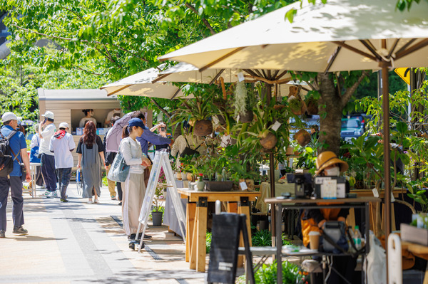 グリーン・サム・マーケット