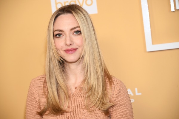 アマンダ・サイフリッド Photo by Michael Buckner/Deadline via Getty Images