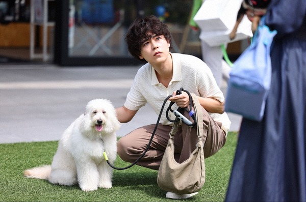 「初恋DOGs」第1話（C）TBS