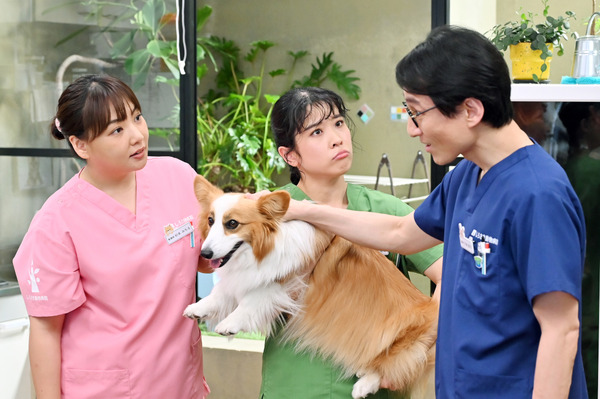 火曜ドラマ「初恋DOGs」サイドストーリー「初恋アンダーDOGs～負け犬と初恋～」ⒸTBS