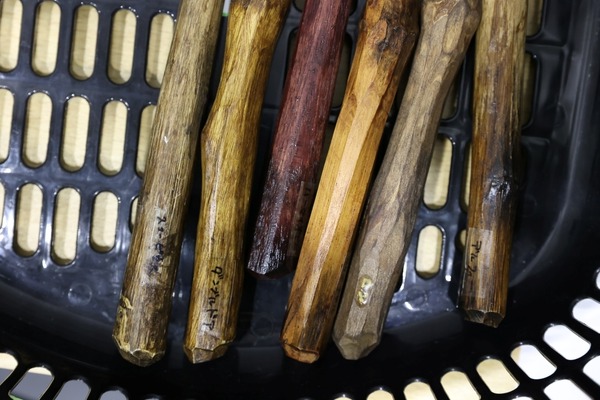 舞台「ハリー・ポッターと呪いの子」取材・文：臼井祥子／ビジュアルレポート撮影：SHUN ITABA