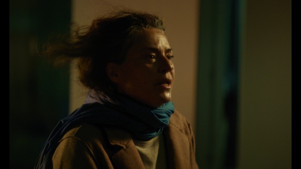 『母の宿命／Future is Panorama』