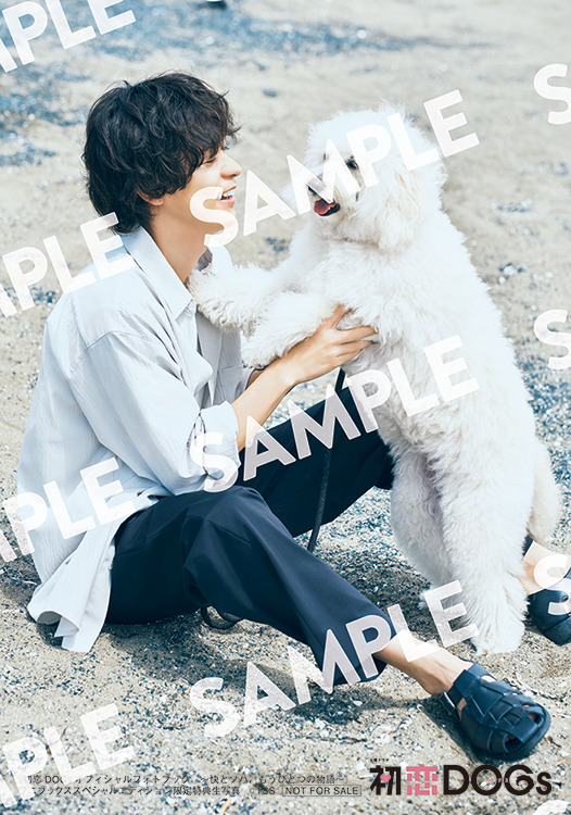 「初恋DOGsオフィシャルフォトブック ～快とソハ、もうひとつの物語～」ワニブックススペシャルエディション 特典　発行：ワニブックス