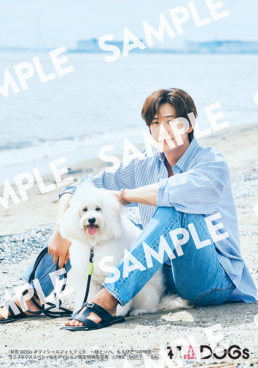 「初恋DOGsオフィシャルフォトブック ～快とソハ、もうひとつの物語～」ワニブックススペシャルエディション 特典　発行：ワニブックス