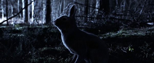 『子鹿のゾンビ』© 2025 ITN Distribution Inc. All Rights Reserved.