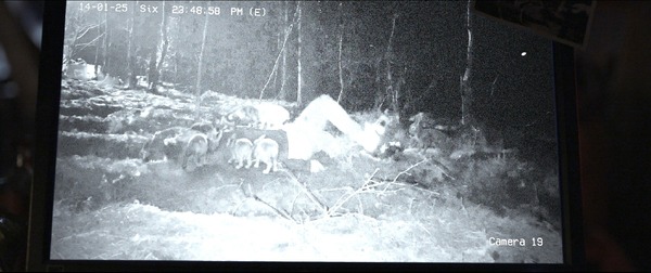 『子鹿のゾンビ』© 2025 ITN Distribution Inc. All Rights Reserved.