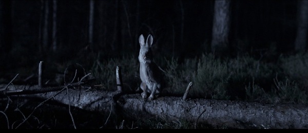 『子鹿のゾンビ』© 2025 ITN Distribution Inc. All Rights Reserved.