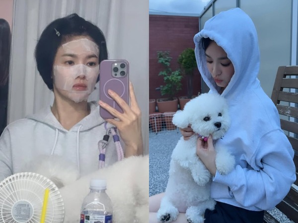 「こんな姿は初めて」女優ソン・ヘギョ、顔パック中の自撮り＆愛犬とのツーショットに大反響【PHOTO】