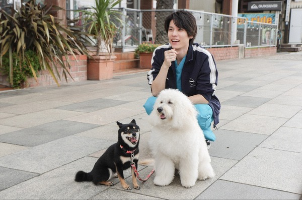 「初恋DOGs」第9話 ©TBS