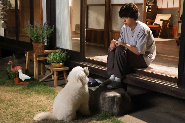 「初恋DOGs」10話 (c)TBS