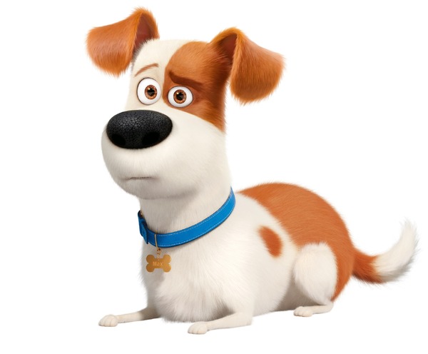 『ペット2』© 2019 Universal City Studios Production LLLP. All Rights Reserved.