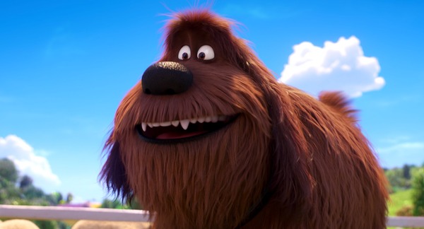 『ペット2』© 2019 Universal City Studios Production LLLP. All Rights Reserved.