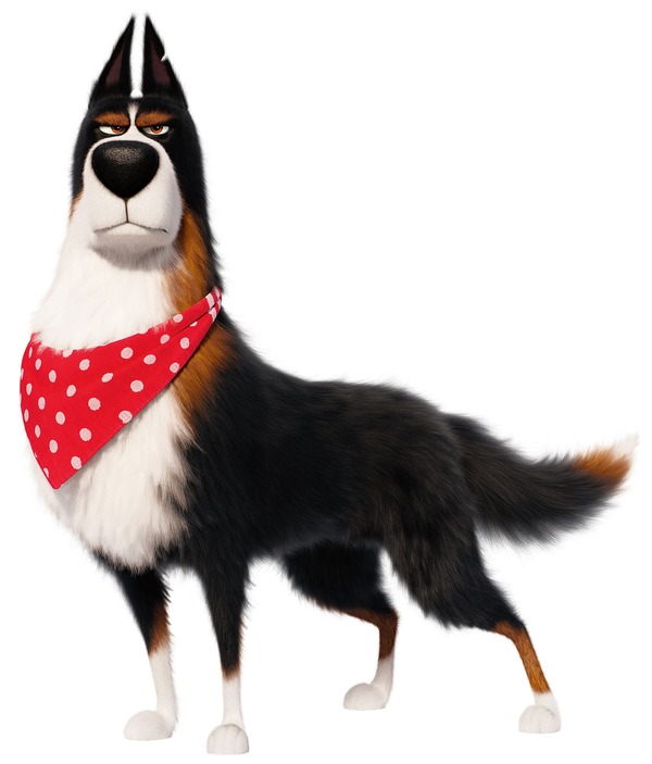 『ペット2』© 2019 Universal City Studios Production LLLP. All Rights Reserved.