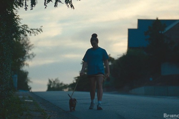 (C)2024, DE WERELDVREDE