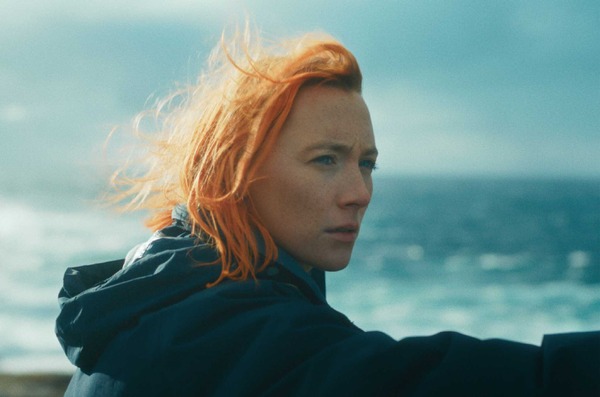 『おくびょう鳥が歌うほうへ』