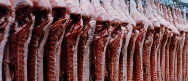 『ロードゲーム』© 1981 STUDIOCANAL - Quest Films Pty Ltd. All Rights Reserved.