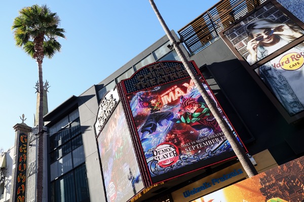 Los Angeles Premiere Photo by JC Olivera/Variety via Getty Images)
