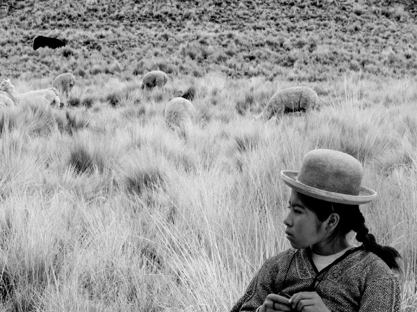 『少女はアンデスの星を見た』©2023 CINE AYMARA STUDIOS