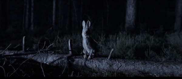 『子鹿のゾンビ』© COPYRIGHT 2025 ITN DISTRUBTION