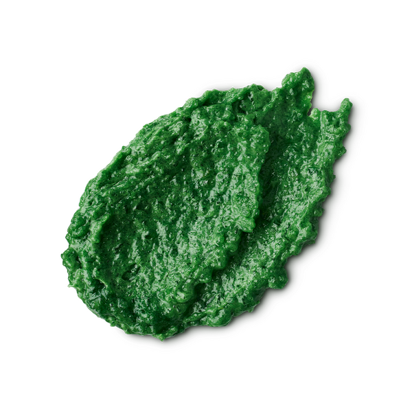 エルファバズ レア（ボディスクラブ/スクラブ洗浄料）2,200円／ 130g、4,400円／ 315g