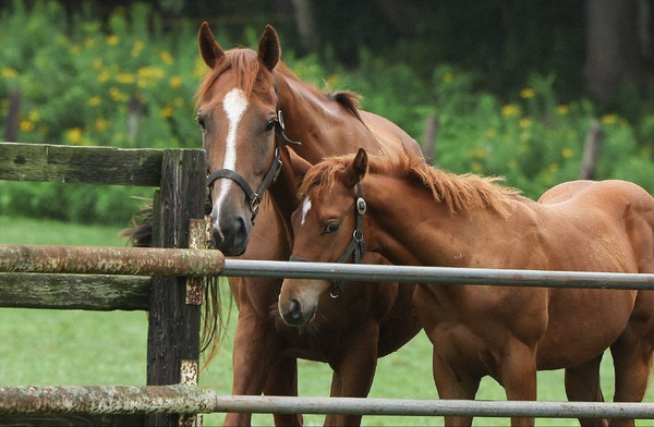 「ザ・ロイヤルファミリー」3話©TBSスパークル／TBS