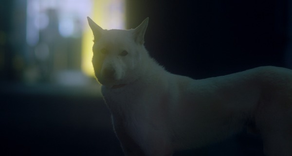 『君と私』ⓒ2021 Film Young.inc ALL RIGHTS RESERVED