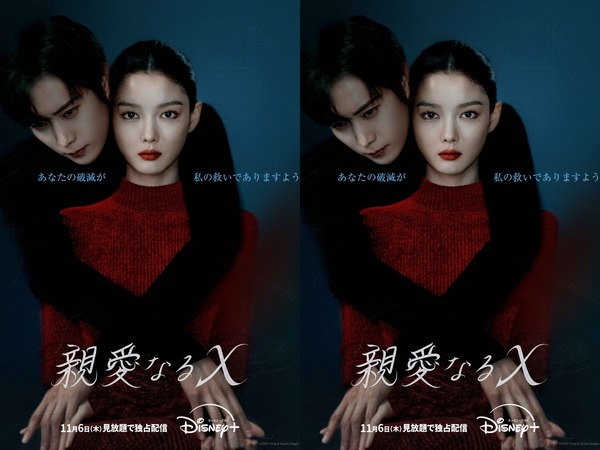“今年最も衝撃的な話題作”『親愛なるX』Disney+にて11月6日より配信開始！