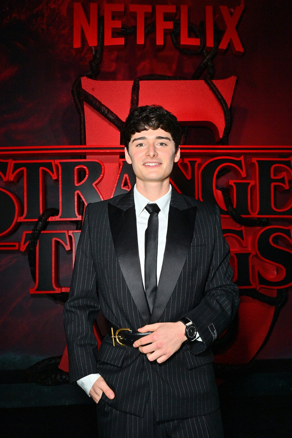 Netflixシリーズ「ストレンジャー・シングス 未知の世界5」LAプレミア