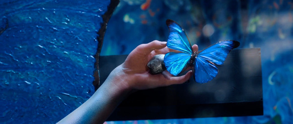 「人間標本」©2025 Amazon Content Services LLC or its Affiliates.