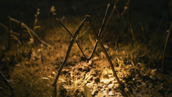 『シェルビー・オークス』© 2024 SHELBY OAKS LLC All Rights Reserved