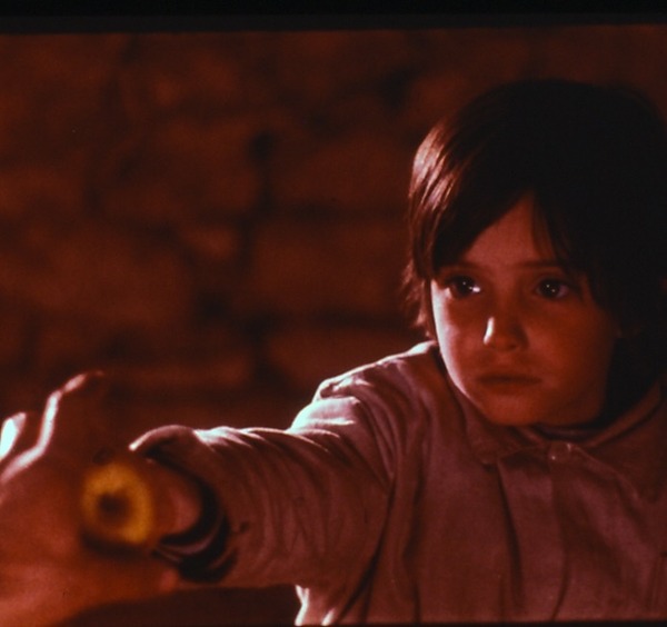 『ミツバチのささやき』 ©2005 Video Mercury Films S.A.