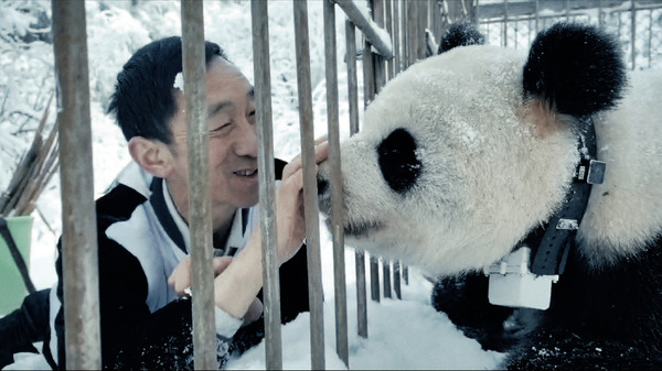 『パンダのすごい世界』