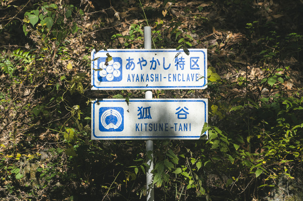 『鬼の花嫁』©2026「鬼の花嫁」製作委員会