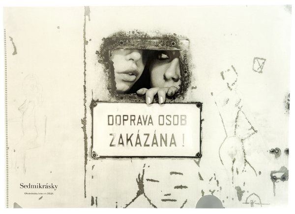 『ひなぎく 4K レストア版』クリアファイルB ©Czech audiovisual fund, source: NFA