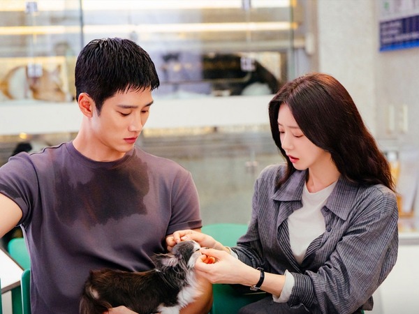 “リアル方言で演技” アン・ボヒョンに好評！『スプリング・フィーバー』の真っ直ぐなヒーローが刺さる！