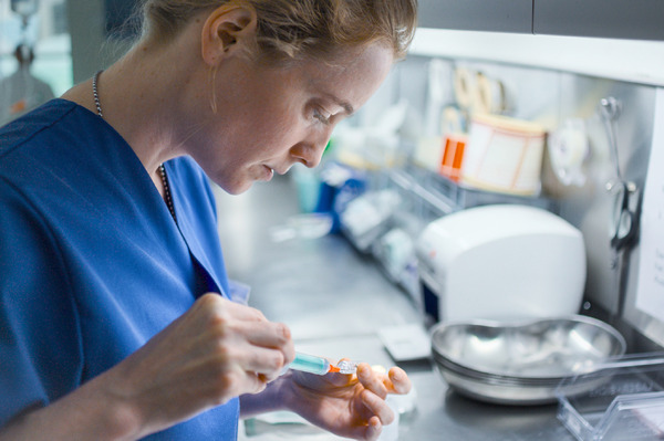 『ナースコール』© 2025 Zodiac Pictures Ltd / MMC Zodiac GmbH