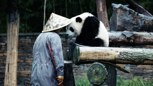 『パンダのすごい世界』