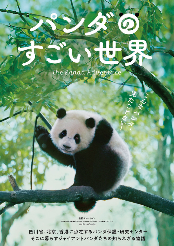 『パンダのすごい世界』